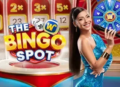 The Bingo Spot The Bingo Spot